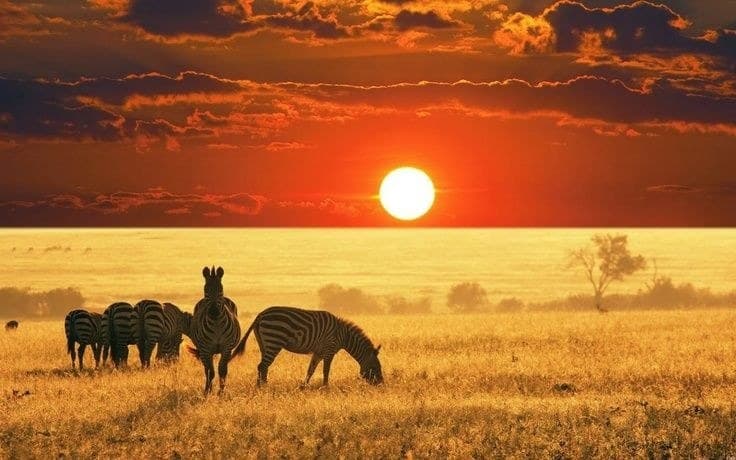 Voyage en République centrafricaine