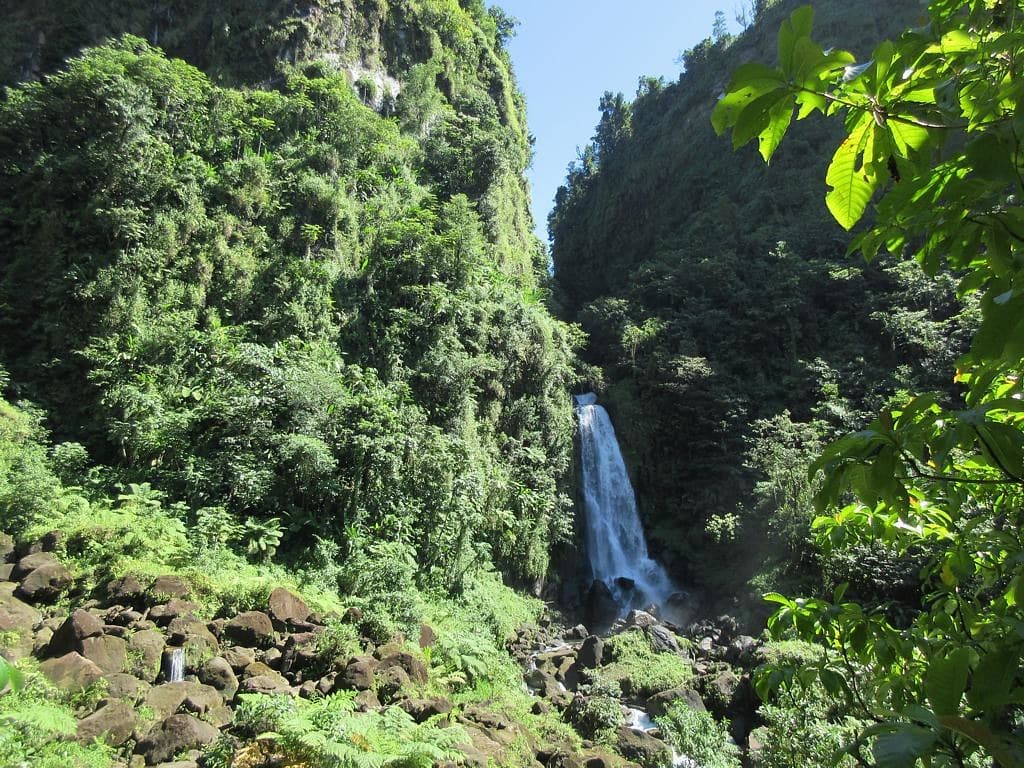 Voyage en Dominique