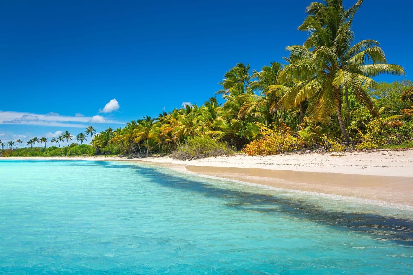 Voyage en République dominicaine