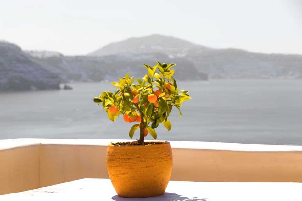 Voyage en Grèce