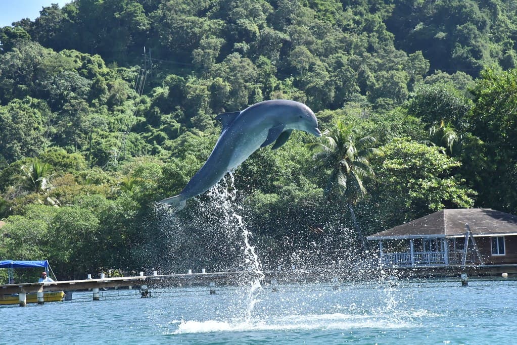 Voyage au Honduras