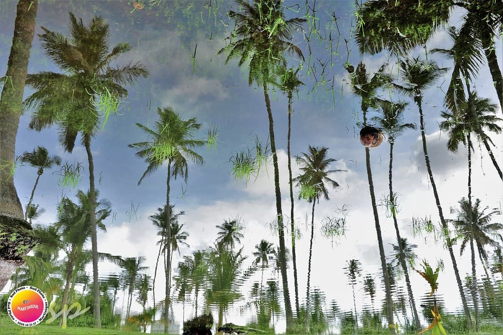 Voyage en Martinique