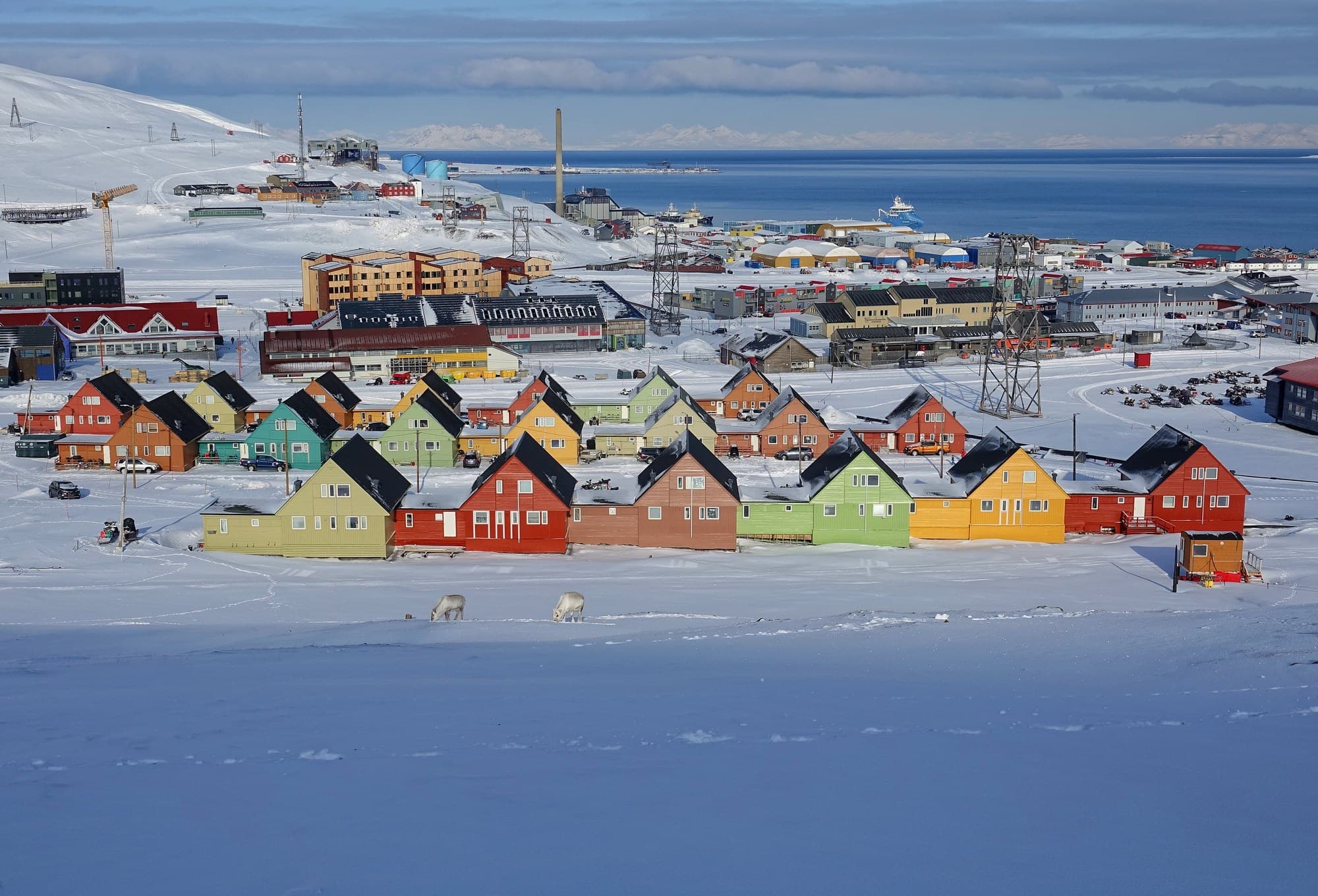 Voyage au Svalbard et Jan Mayen