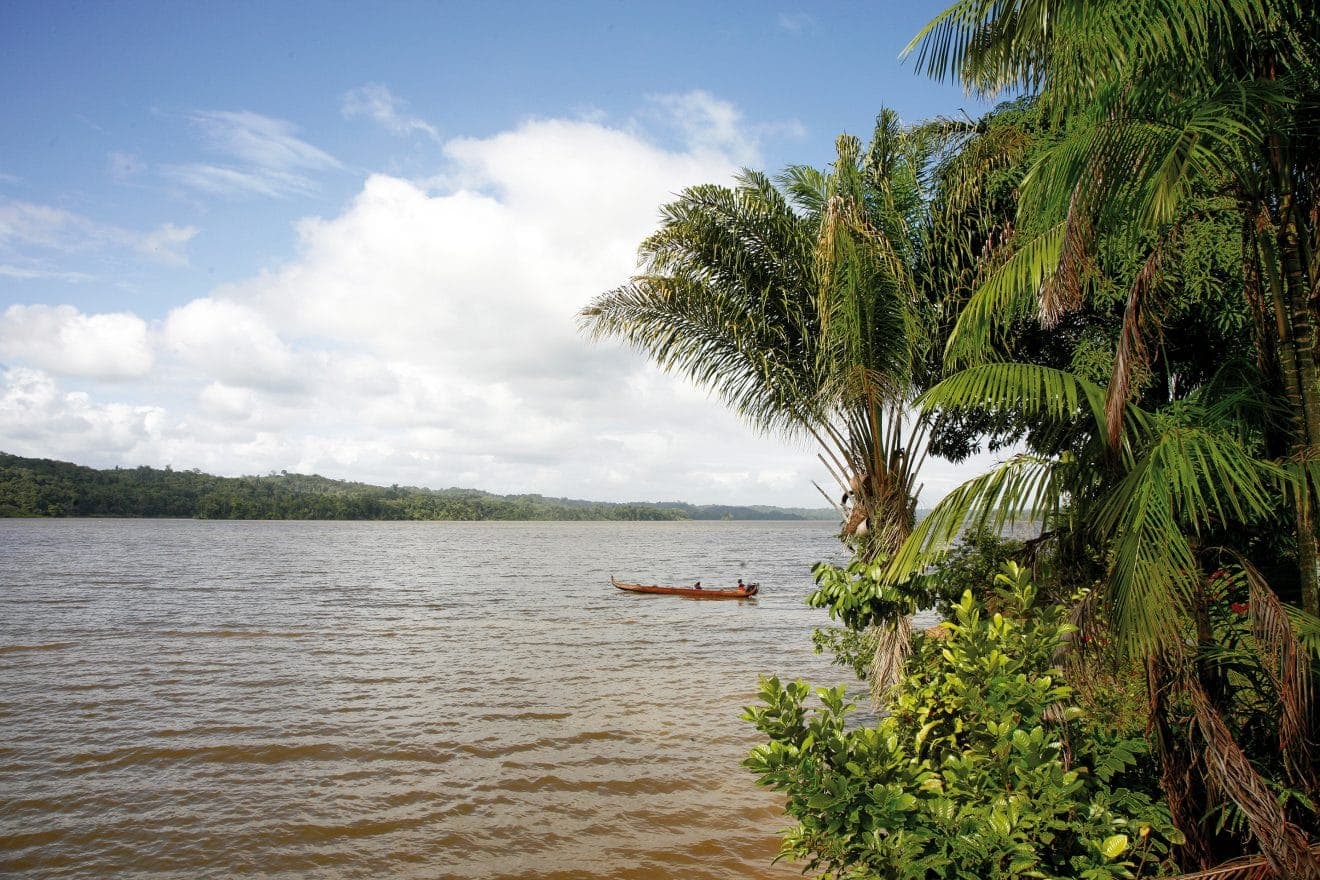 Voyage au Surinam