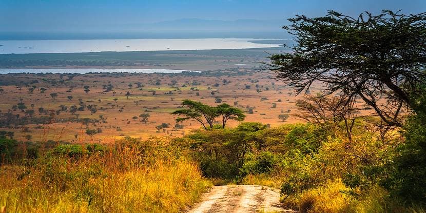 Voyage en Ouganda
